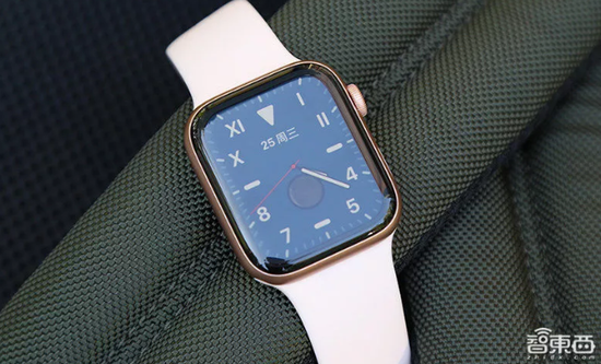 Apple Watch Series 5ĻLTPOOLED